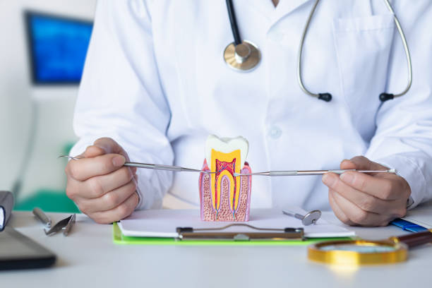 Best Pediatric Emergency Dentist in Daniels Farm, CT